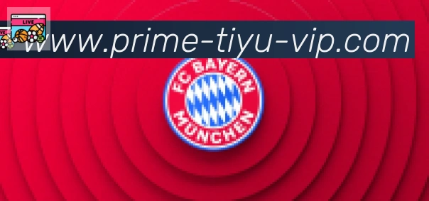 TVT体育合作伙伴